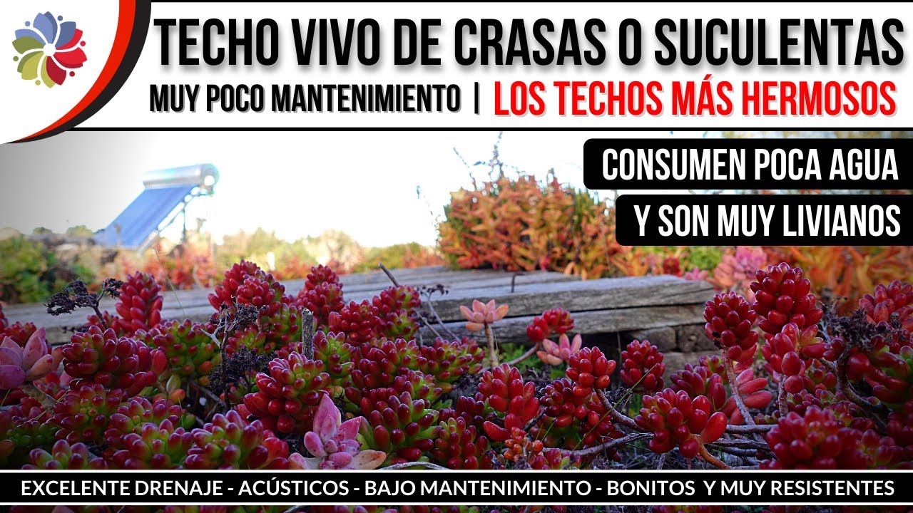 Precargar imagen