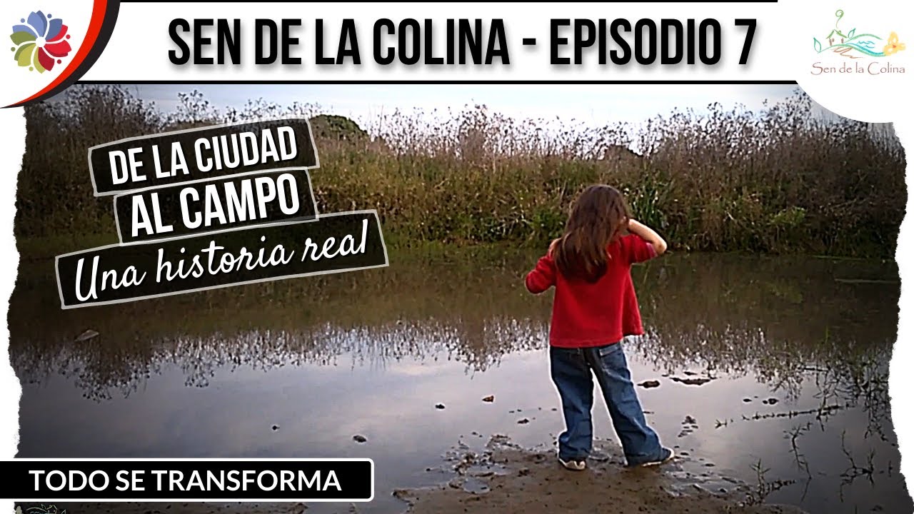 Precargar imagen