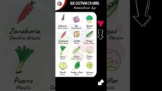 [ID: veB7AJoqVh8] Youtube Automatic