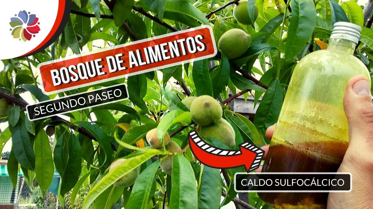 Precargar imagen
