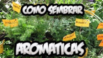 [ID: viFlqojgv_4] Youtube Automatic