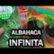 [ID: w2hdbGiU7hs] Youtube Automatic
