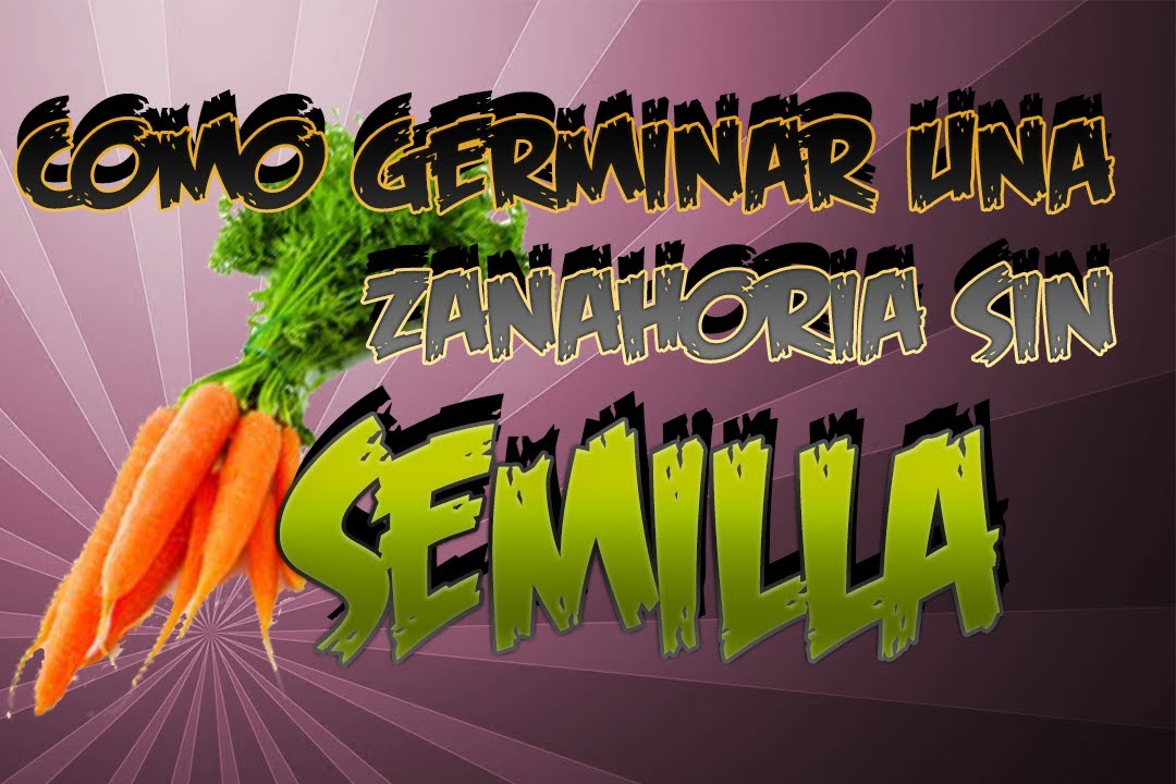 Precargar imagen