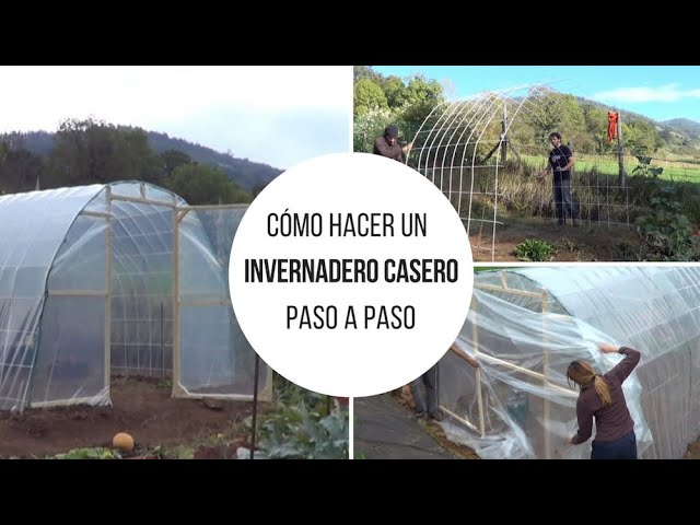 Precargar imagen