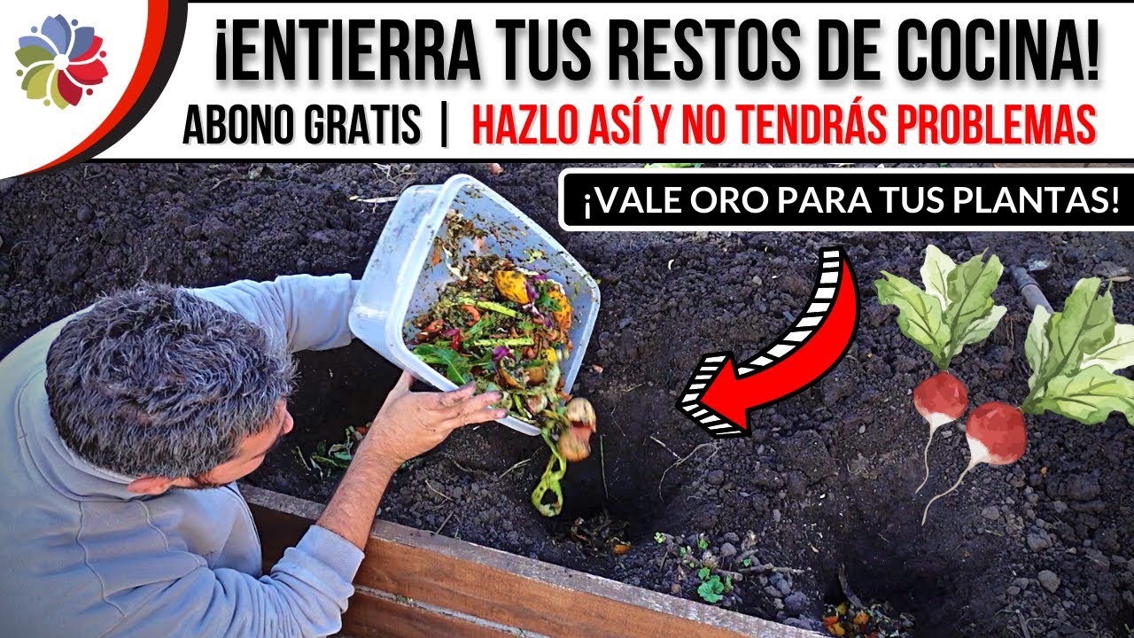Precargar imagen