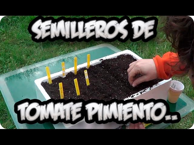 Precargar imagen