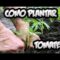 [ID: WpZ8MhjkPI8] Youtube Automatic