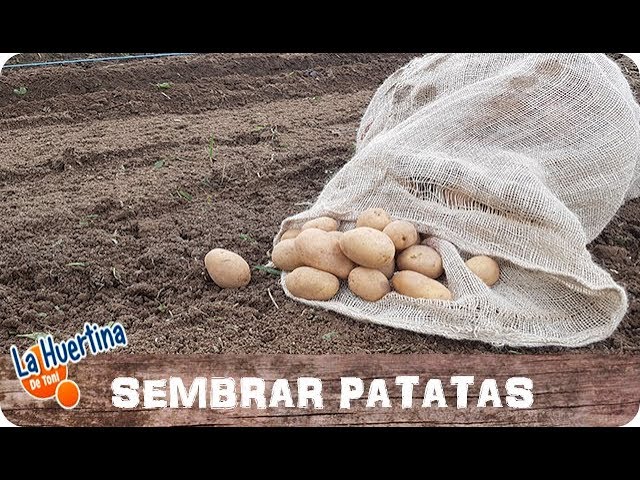 Precargar imagen