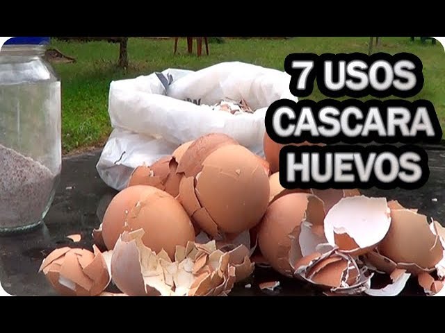 Precargar imagen