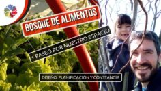 [ID: xg1Km2pyFeM] Youtube Automatic