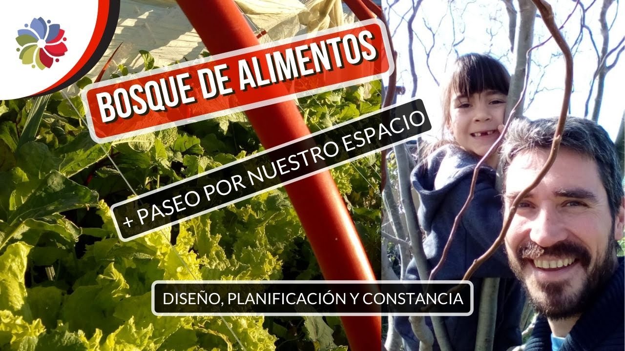 Precargar imagen