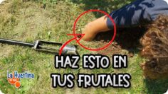 [ID: XgFvXof0dwY] Youtube Automatic