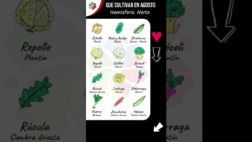 [ID: XiGesYqcek8] Youtube Automatic