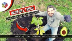 [ID: XjFMpsuO2Rg] Youtube Automatic