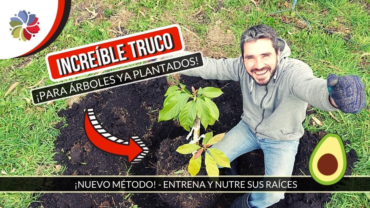 Precargar imagen