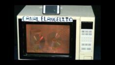 [ID: XP5oLEks9_E] Youtube Automatic