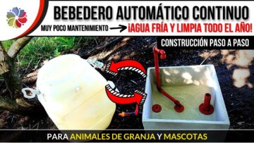 [ID: xS54cfKrGtg] Youtube Automatic