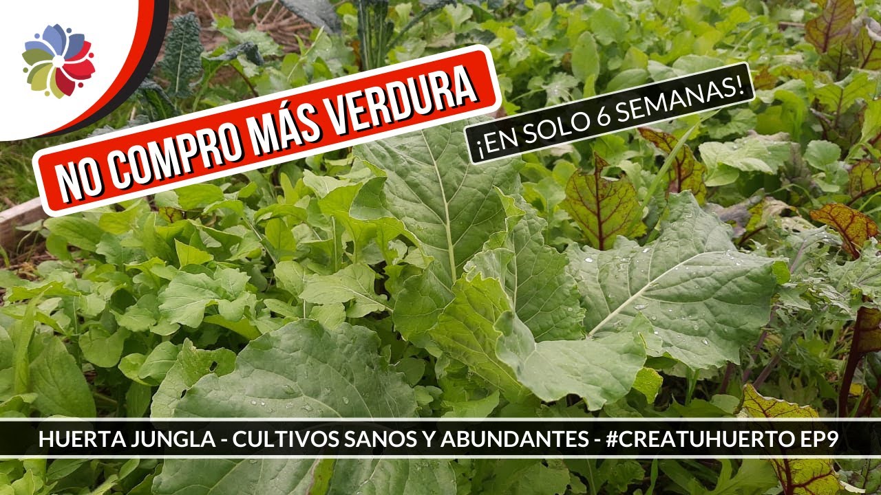 Precargar imagen