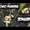 [ID: yFywEQ8JMCs] Youtube Automatic