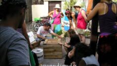 [ID: z-qrjobsHVY] Youtube Automatic