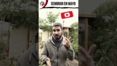 [ID: zGs2LVf8IAY] Youtube Automatic