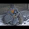 [ID: znRkEME7tTU] Youtube Automatic