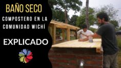 [ID: zOI7-mn1tyE] Youtube Automatic