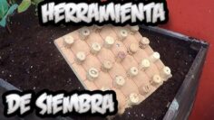 [ID: ZtQ_yVGkUC0] Youtube Automatic