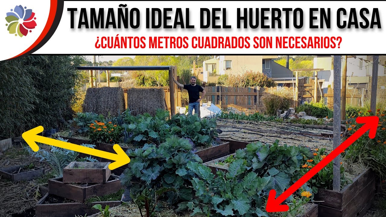 Precargar imagen