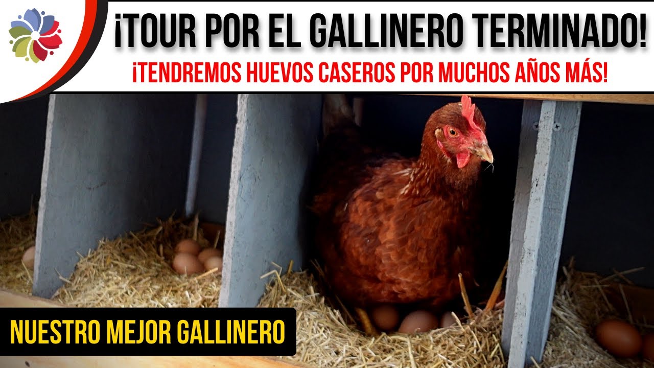 Precargar imagen
