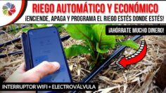 Privado: [ID: Ah2wRwh4P_8] Youtube Automatic