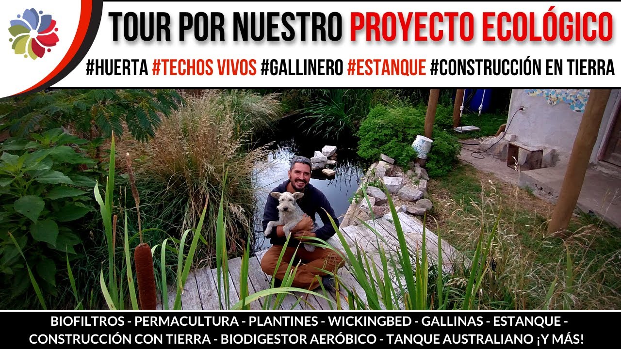 Precargar imagen