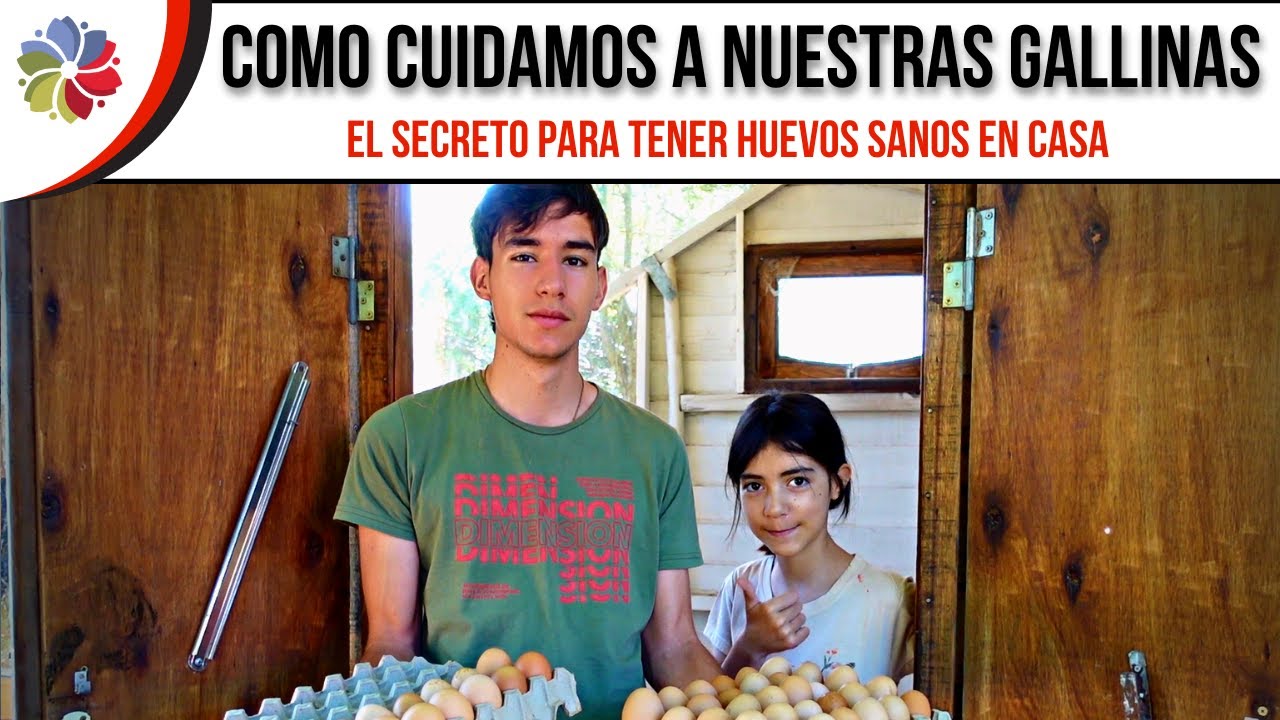 Precargar imagen