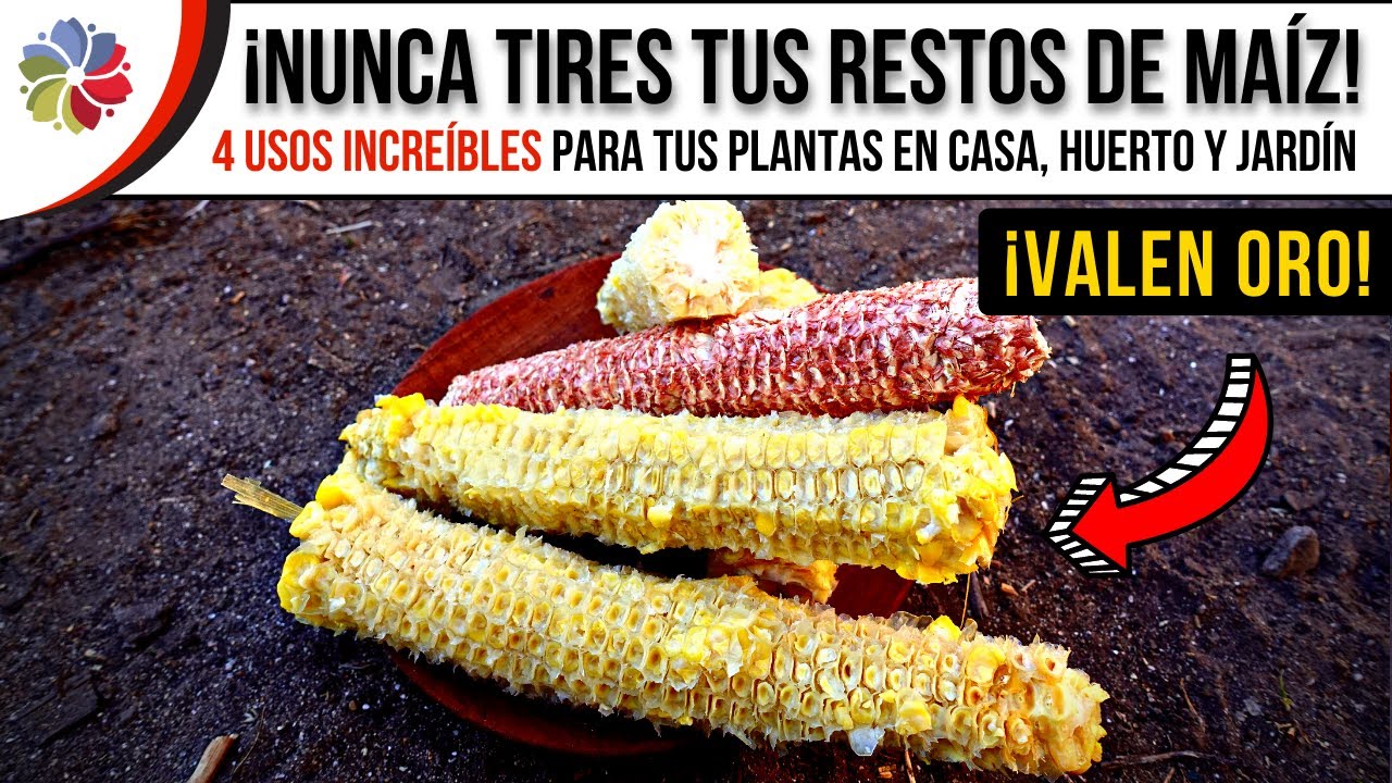 Precargar imagen