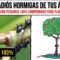 Privado: [ID: kVLMXNVdd6I] Youtube Automatic