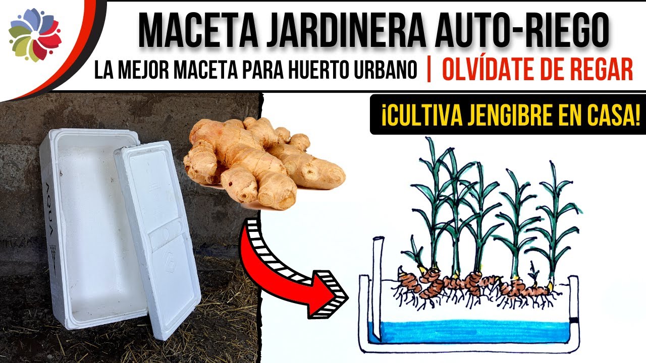 Precargar imagen