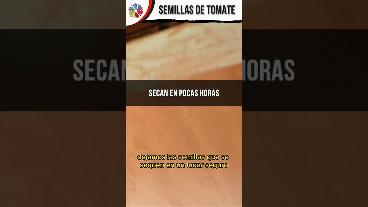 Precargar imagen