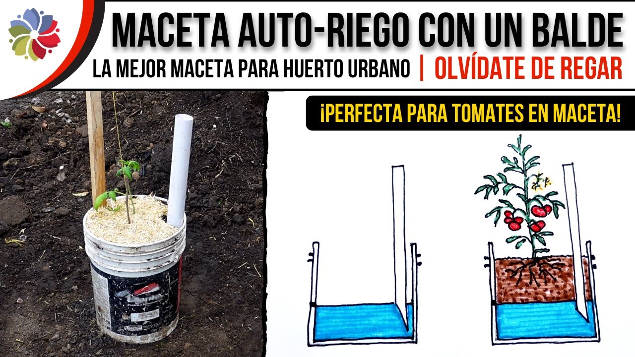 Precargar imagen