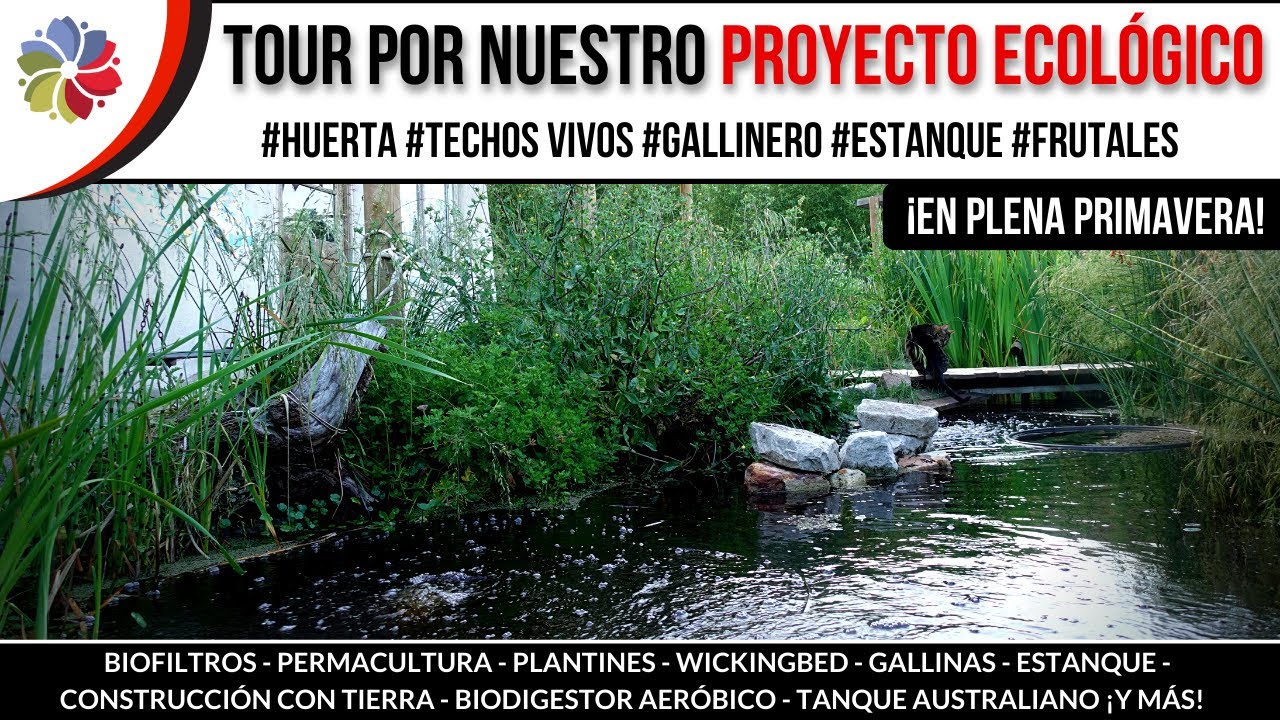 Precargar imagen