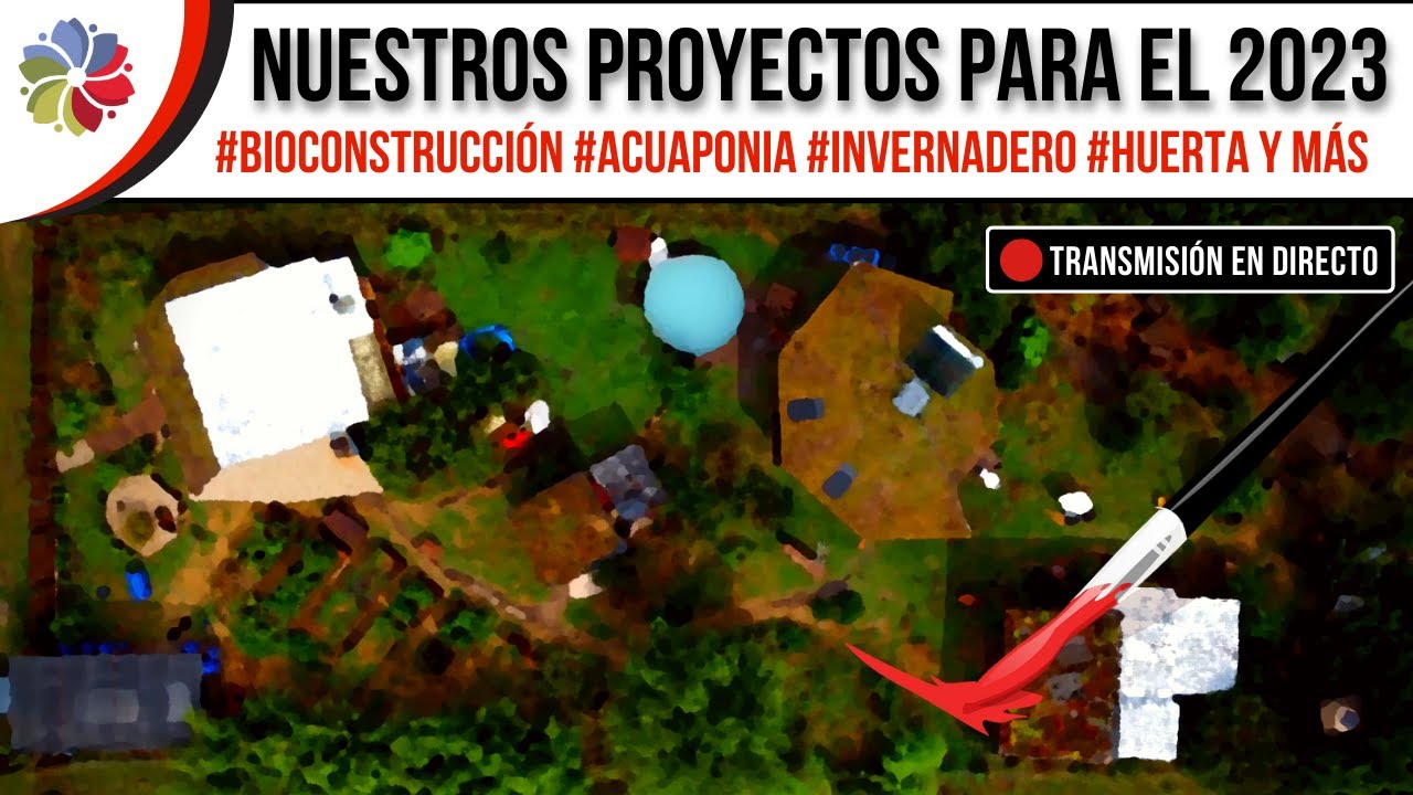 Precargar imagen