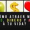 Privado: [ID: wwologDTcHU] Youtube Automatic