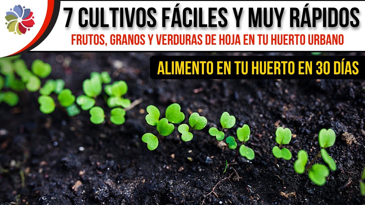 Precargar imagen