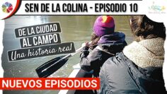Privado: [ID: Y7wioB8RnDA] Youtube Automatic