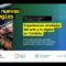 [ID: 91yb7iJgLoo] Youtube Automatic