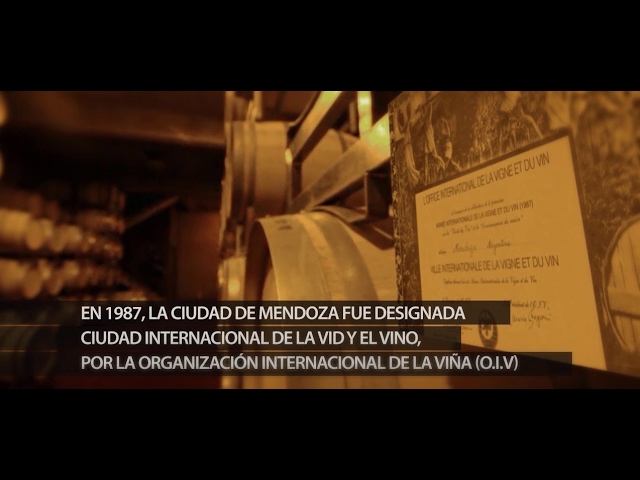 Precargar imagen