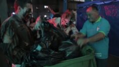 [ID: cRaP94EUFi8] Youtube Automatic
