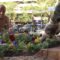 [ID: EhVWRWVkJGs] Youtube Automatic