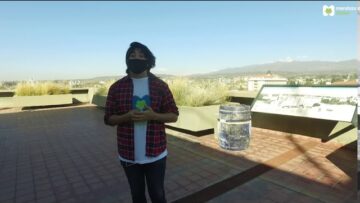[ID: h1WHv3t_bl0] Youtube Automatic