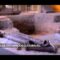 [ID: o3lImEX6dbk] Youtube Automatic