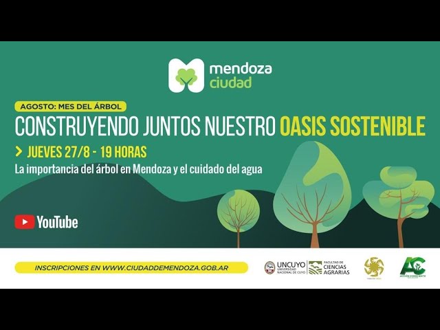 Precargar imagen